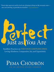 Perfect Just as You Are: Buddhist Practices on the Four Limitless Ones--Loving-Kindness, Compassion, Joy, and Equanimity cover