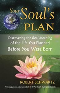 Your Soul's Plan: Discovering the Real Meaning of the Life You Planned Before You Were Born cover