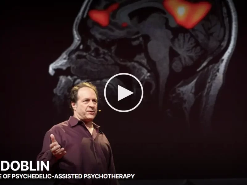 psychedelic treatment therapies - TED video